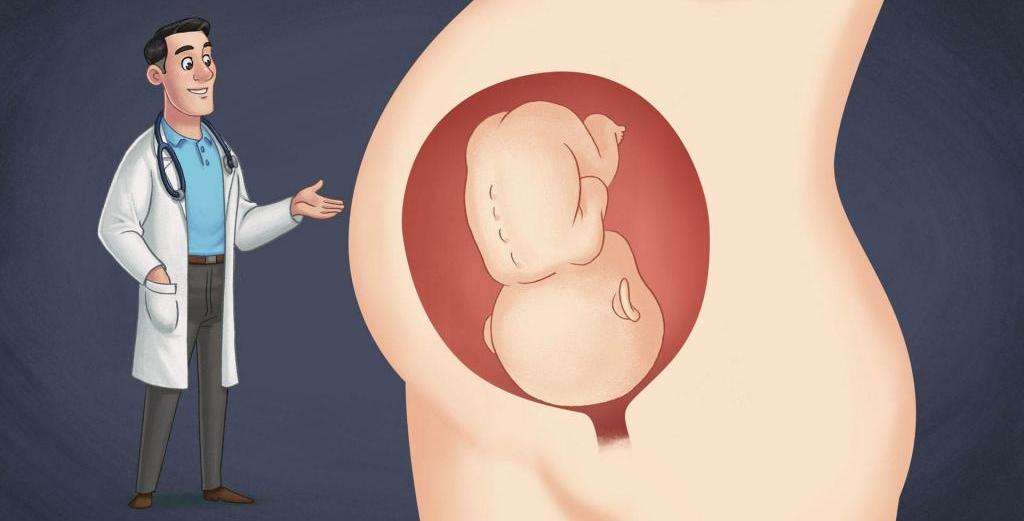 Осмотр врача для определения эмбрионального срока